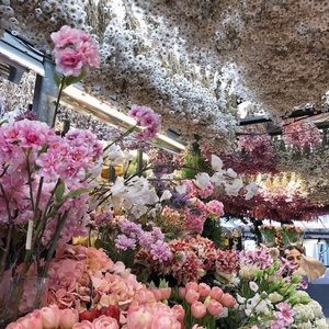 Meet your Posher, Jasmin